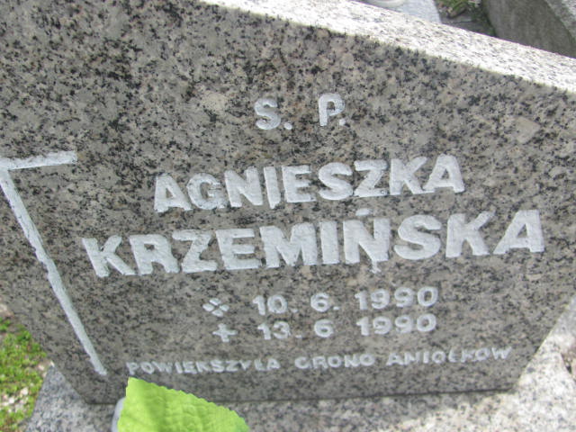 Agnieszka Krzemińska  1990 Kluczbork - Grobonet - Wyszukiwarka osób pochowanych