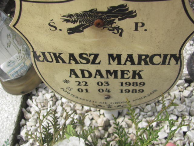 ŁUKASZ MARCIN Adamek  1989 Kluczbork - Grobonet - Wyszukiwarka osób pochowanych