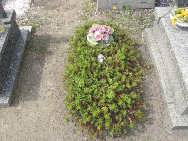 Matylda GALANT 2019 Kluczbork - Grobonet - Wyszukiwarka osób pochowanych