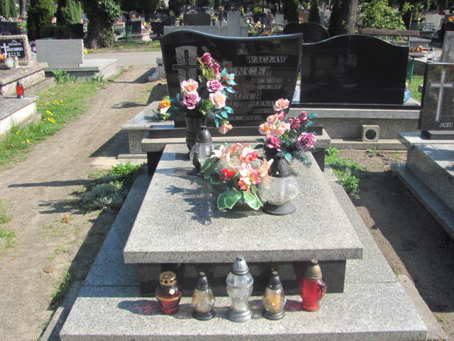 Grób Wacław Mencel