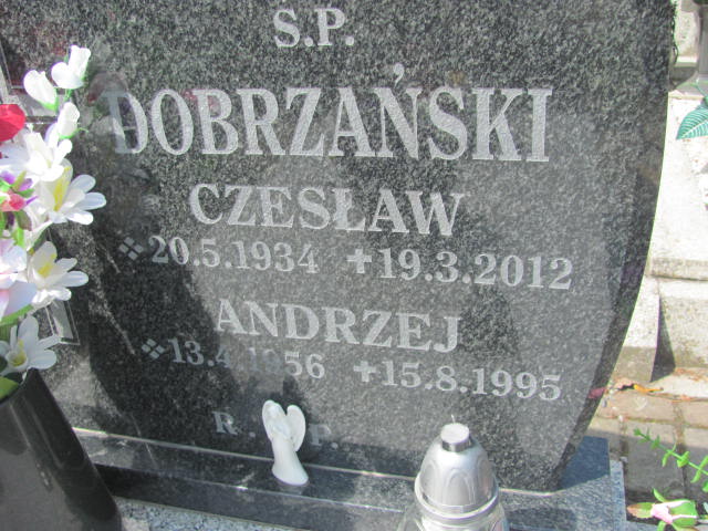Andrzej Dobrzański  1956 Kluczbork - Grobonet - Wyszukiwarka osób pochowanych