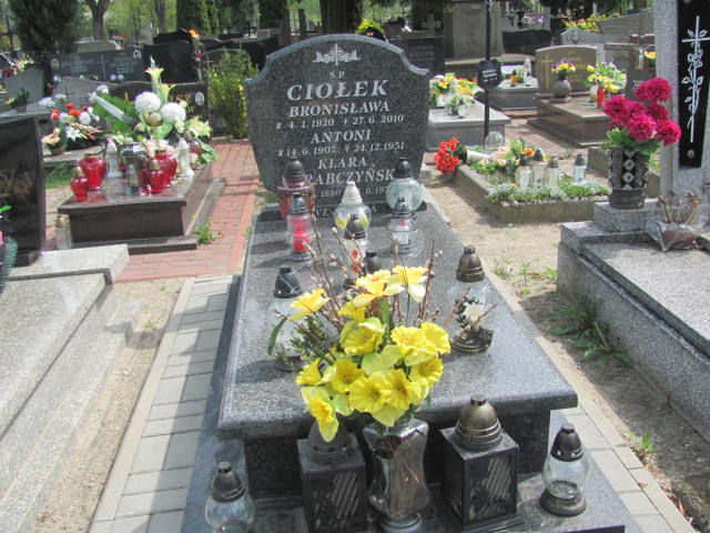 Grób Antoni Ciołek 