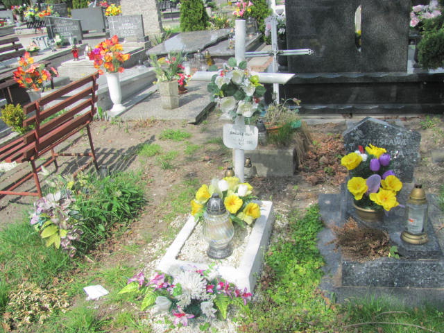 Grób Adam Janiewicz