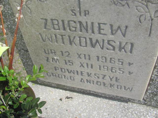 Zbigniew Witkowski 1965 Kluczbork - Grobonet - Wyszukiwarka osób pochowanych
